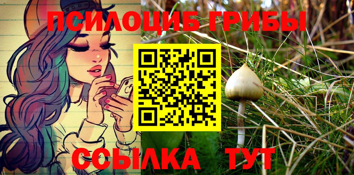 Псилоцибиновые грибы Psilocybine cubensis Среднеуральск