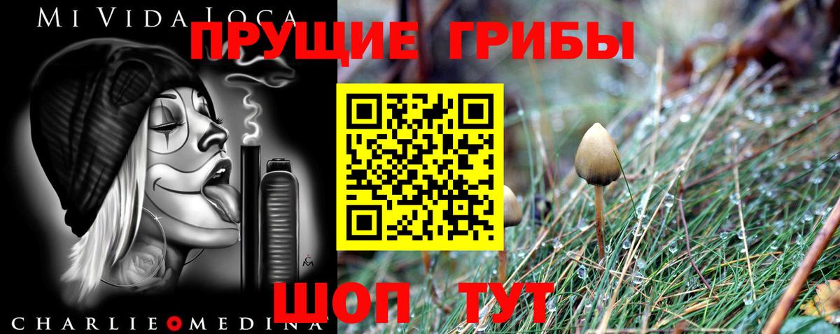 Псилоцибиновые грибы Magic Shrooms  Псилоцибиновые грибы Psilocybine cubensis  Среднеуральск  Вход с VPN 